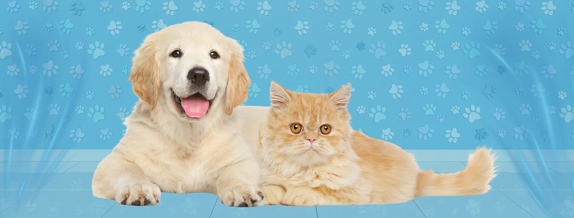 Earth Paw Pets Front Image