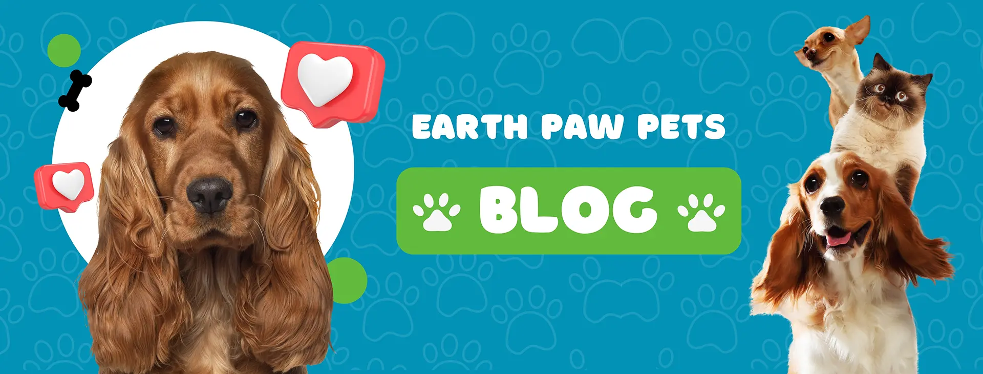 Earth Paw Pets Blog