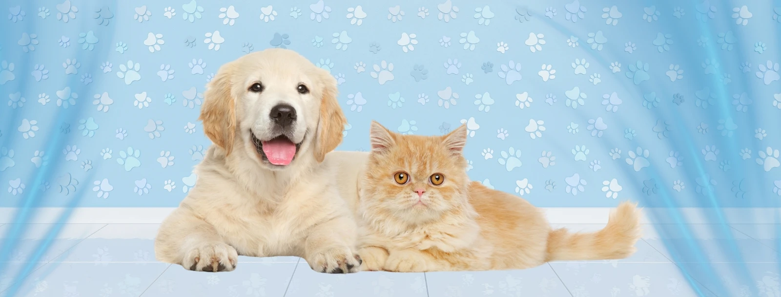 Earth Paw Pets Header Image