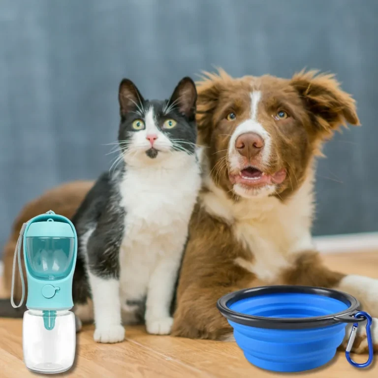 Pet Accessories