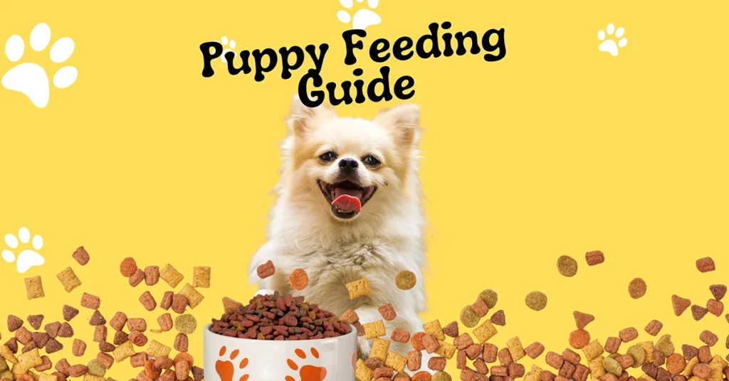 Happy puppy with a bowl of kibble, representing puppy feeding guidelines for healthy growth