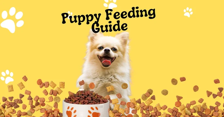 Happy puppy with a bowl of kibble, representing puppy feeding guidelines for healthy growth