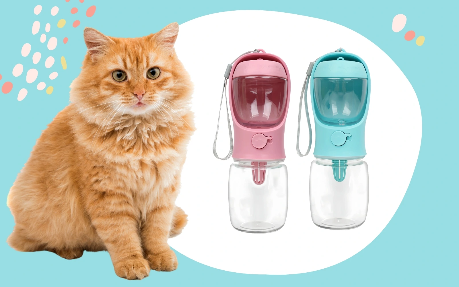 Portable Pet Water and Food Bottle in use