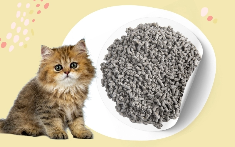 Eco-friendly recycled paper cat litter pellets close up