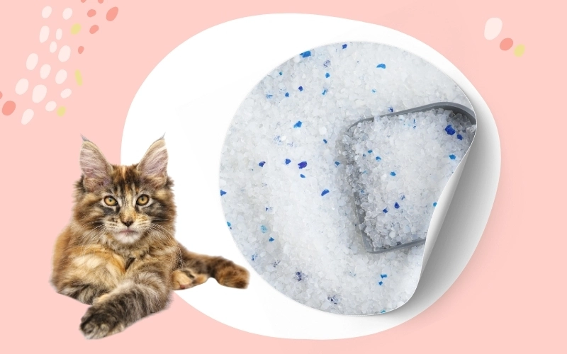 Silica gel crystal cat litter close up