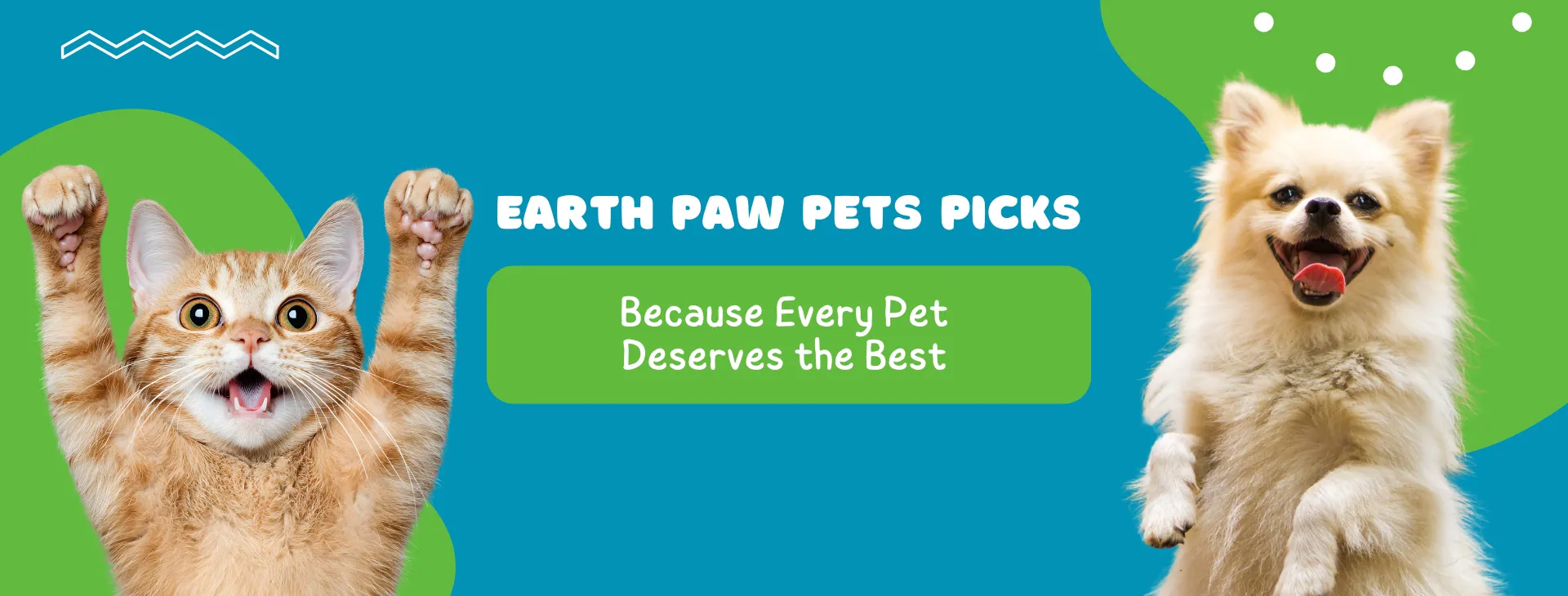 Earth Paw Pets Picks